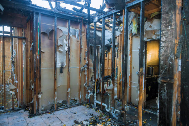 Professional Odor Removal technician working in Eupora, MS